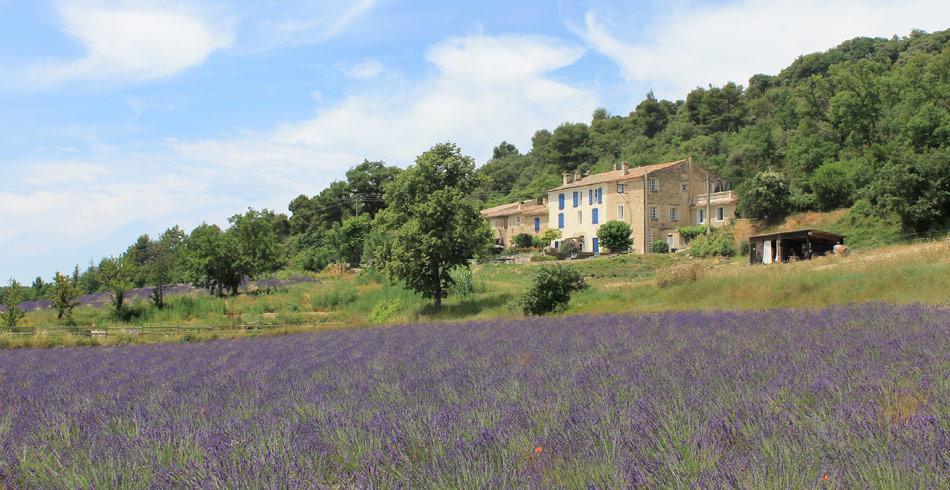 アルマーニュ・アン・プロヴァンス Domaine De Bertrandy Bed & Breakfast エクステリア 写真